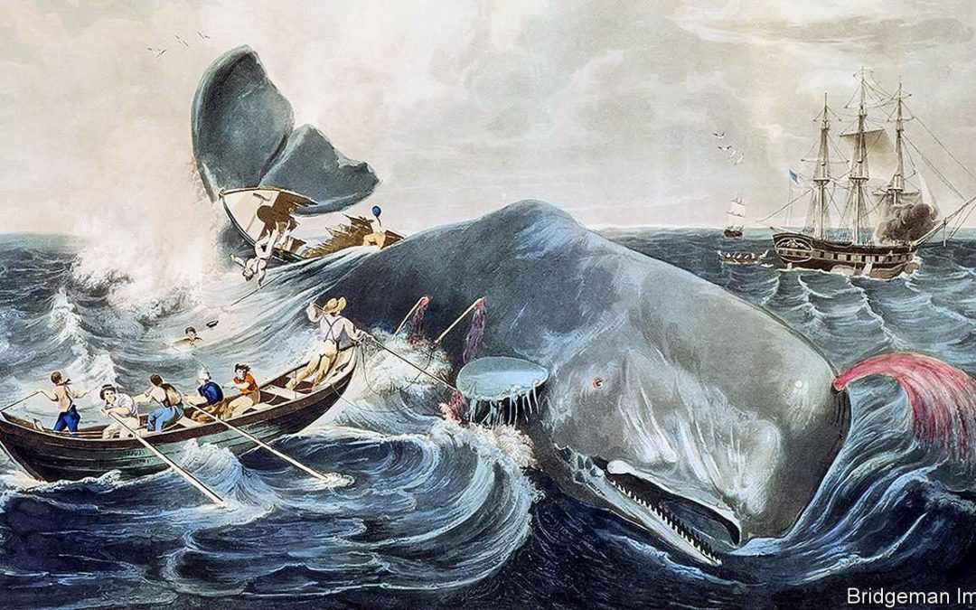Overheard in the Caravanserai…Melville’s Moby Dick and the Human Condition
